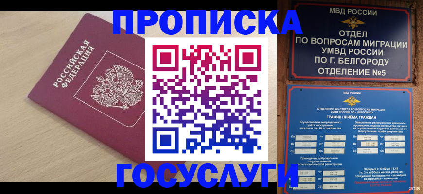 прописка законно в Емве